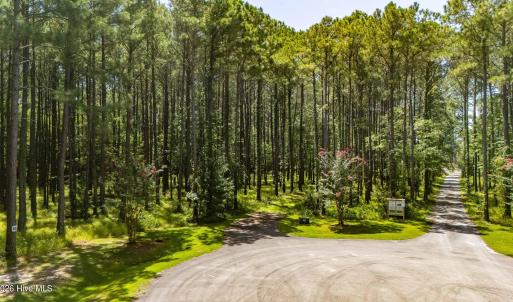 Photo #11 of 397 Madison, Oriental, NC 3.4 acres