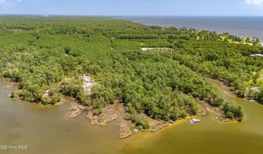 Photo #7 of 397 Madison, Oriental, NC 3.4 acres