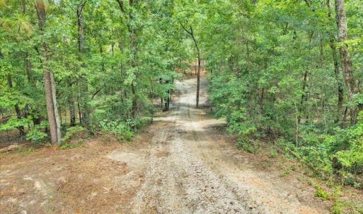 Photo #4 of 4359 Storm Branch, Aiken, SC 5.0 acres