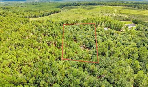 Photo #40 of 4359 Storm Branch, Aiken, SC 5.0 acres