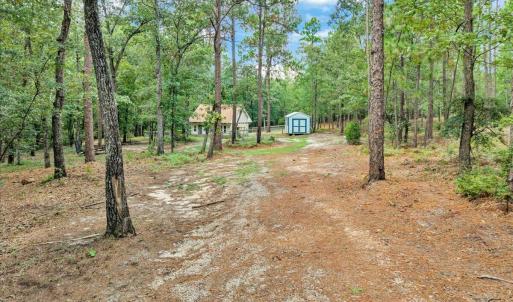 Photo #5 of 4359 Storm Branch, Aiken, SC 5.0 acres