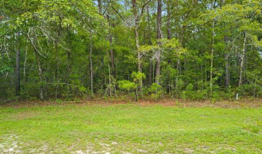 Photo #2 of 2170 Woodard, Supply, NC 0.7 acres