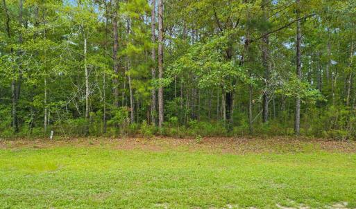 Photo #2 of 2198 Woodard, Supply, NC 0.6 acres