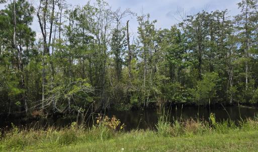 Photo #3 of Elementary School, Columbia, NC 275.0 acres