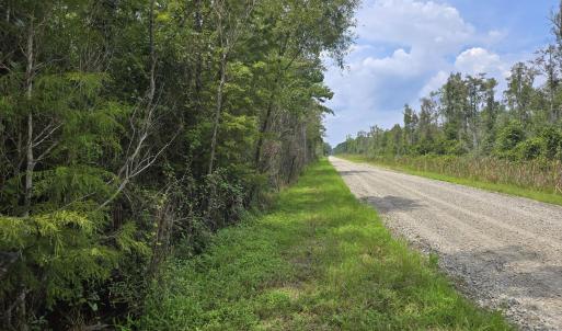 Photo #1 of Elementary School, Columbia, NC 275.0 acres