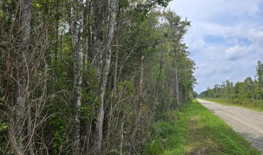 Photo #5 of Elementary School, Columbia, NC 275.0 acres