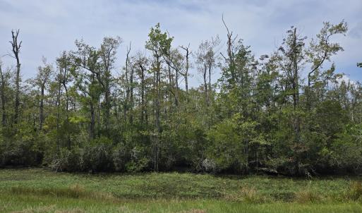 Photo #4 of Elementary School, Columbia, NC 275.0 acres