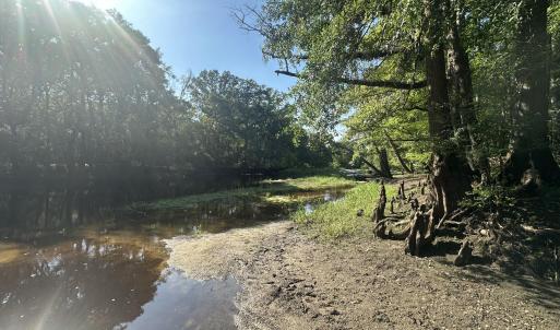 Photo #11 of 3 Ivanhoe, Ivanhoe, NC 1.0 acres