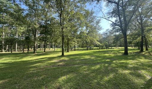 Photo #8 of 43 Black River, Harrells, NC 0.7 acres