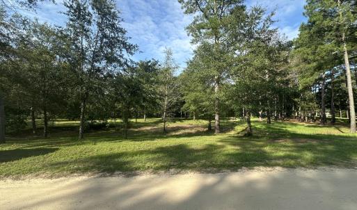 Photo #6 of 43 Black River, Harrells, NC 0.7 acres