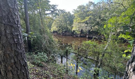 Photo #9 of 43 Black River, Harrells, NC 0.7 acres