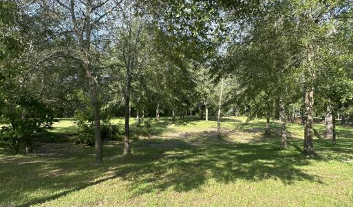 Photo #7 of 43 Black River, Harrells, NC 0.7 acres