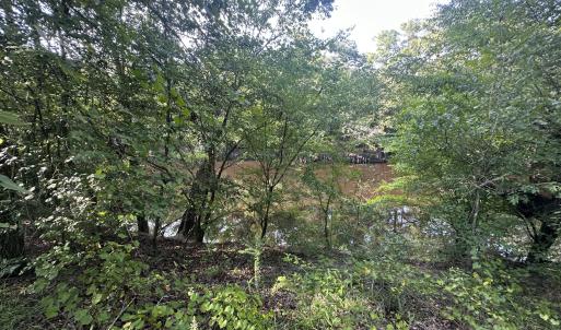 Photo #14 of 43 Black River, Harrells, NC 0.7 acres