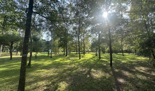 Photo #13 of 43 Black River, Harrells, NC 0.7 acres