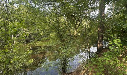 Photo #12 of 43 Black River, Harrells, NC 0.7 acres