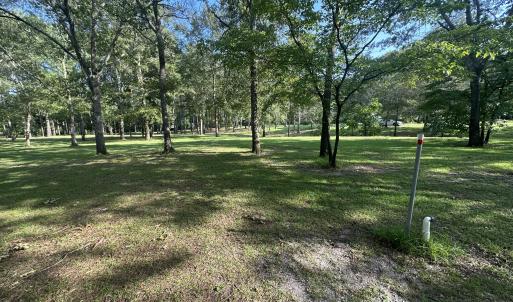 Photo #11 of 43 Black River, Harrells, NC 0.7 acres