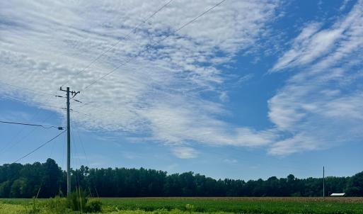 Photo #2 of 2645 Braswell, Chadbourn, NC 33.9 acres