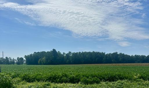 Photo #1 of 2645 Braswell, Chadbourn, NC 33.9 acres