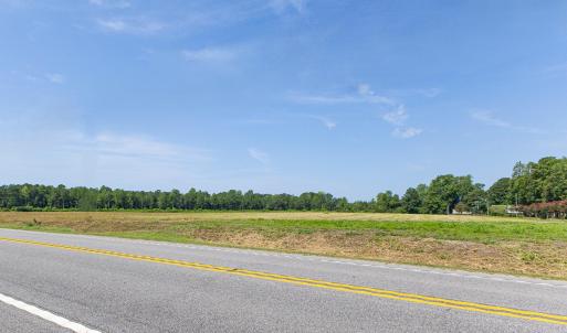 Photo #6 of 8424 Joe Brown, Clarendon, NC 3.3 acres