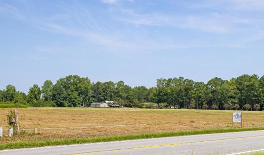 Photo #6 of 8462 Joe Brown, Clarendon, NC 4.2 acres