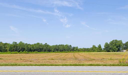 Photo #1 of 8546 Joe Brown, Clarendon, NC 3.9 acres