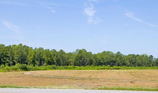 Photo #3 of 8610 Joe Brown, Clarendon, NC 7.0 acres