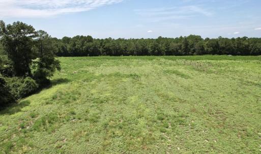 Photo #38 of Ward Town, Whiteville, NC 70.4 acres