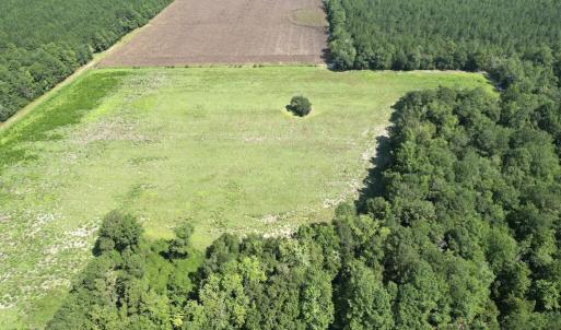 Photo #18 of Ward Town, Whiteville, NC 70.4 acres
