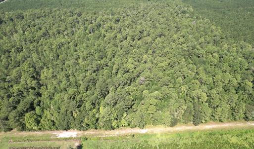 Photo #32 of Ward Town, Whiteville, NC 70.4 acres