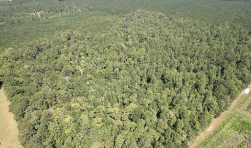 Photo #8 of Ward Town, Whiteville, NC 70.4 acres