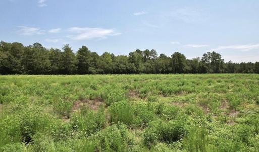 Photo #41 of Ward Town, Whiteville, NC 70.4 acres