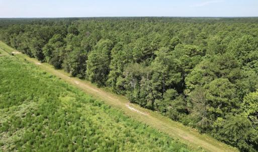 Photo #33 of Ward Town, Whiteville, NC 70.4 acres