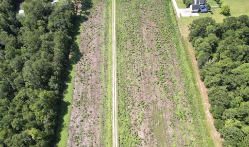 Photo #43 of Ward Town, Whiteville, NC 70.4 acres
