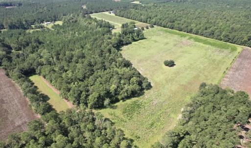 Photo #2 of Ward Town, Whiteville, NC 70.4 acres