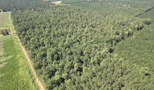 Photo #22 of Ward Town, Whiteville, NC 70.4 acres