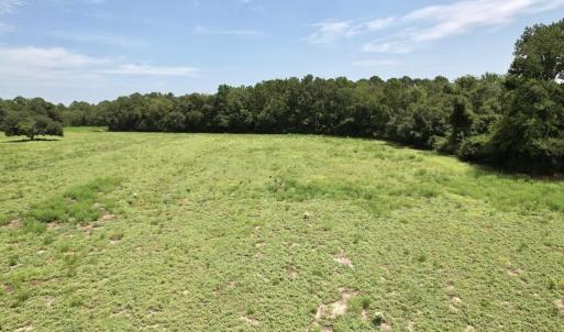 Photo #39 of Ward Town, Whiteville, NC 70.4 acres