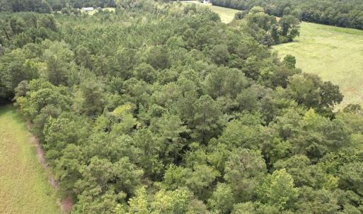 Photo #14 of Ward Town, Whiteville, NC 70.4 acres