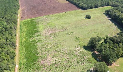 Photo #46 of Ward Town, Whiteville, NC 70.4 acres