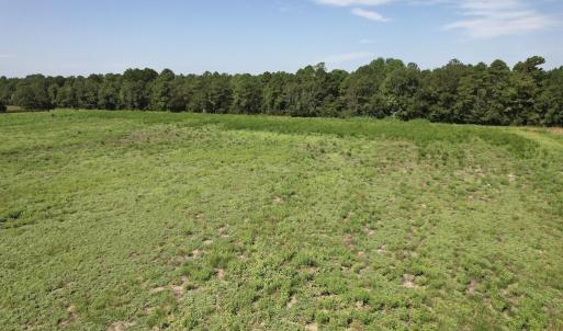 Photo #30 of Ward Town, Whiteville, NC 70.4 acres