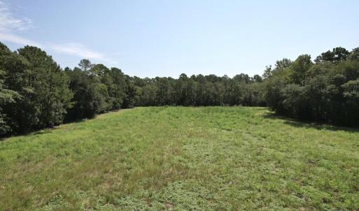 Photo #25 of Ward Town, Whiteville, NC 70.4 acres