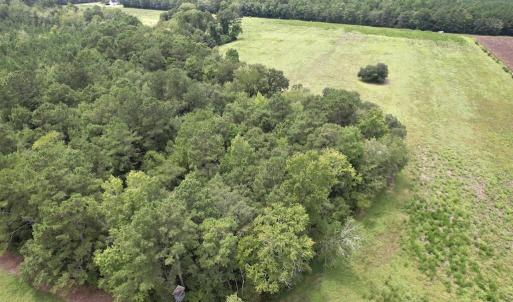 Photo #13 of Ward Town, Whiteville, NC 70.4 acres