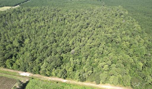 Photo #20 of Ward Town, Whiteville, NC 70.4 acres