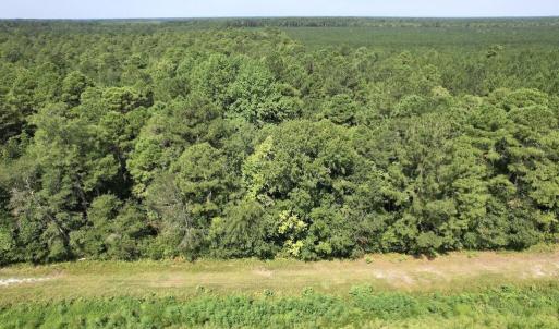 Photo #23 of Ward Town, Whiteville, NC 70.4 acres