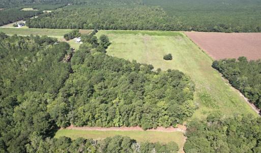 Photo #3 of Ward Town, Whiteville, NC 70.4 acres
