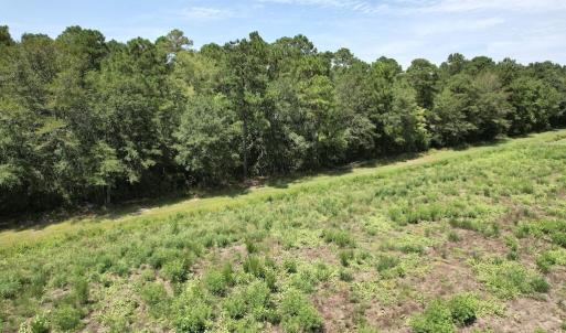 Photo #45 of Ward Town, Whiteville, NC 70.4 acres
