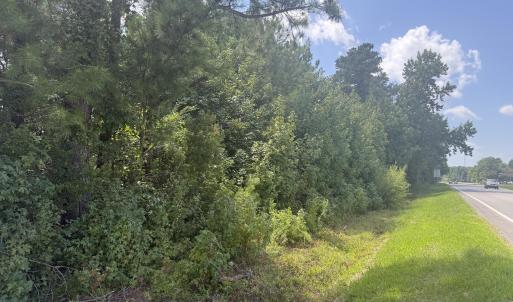 Photo #4 of Near 26880 Near 26880 Andrew Ja, Delco, NC 20.0 acres