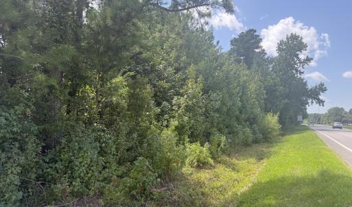 Photo #4 of Near 26880 Near 26880 Andrew Ja, Delco, NC 20.0 acres