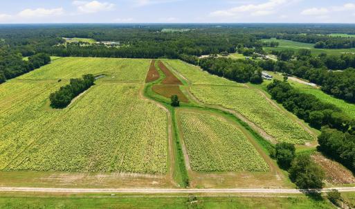 Photo #10 of Carolina 43, Macclesfield, NC 50.0 acres