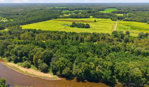 Photo #5 of Carolina 43, Macclesfield, NC 50.0 acres