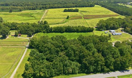 Photo #3 of Carolina 43, Macclesfield, NC 50.0 acres